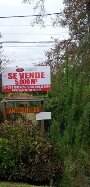 Parcela comercial de 5.000 m² con 145 m de frente a la ruta Villarrica-Ñancul
