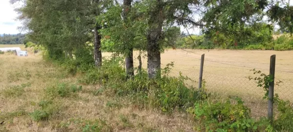Parcela de 5.000 m² a 9,5 km de Villarrica, con camino asfaltado hasta el terreno