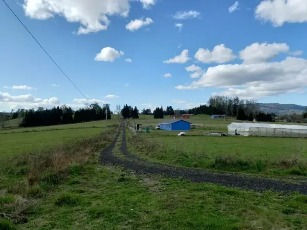 Parcela de 5.000 m² con casa en Los Copihues, Villarrica