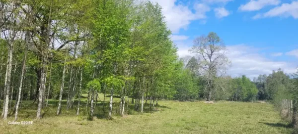 Parcela de 5.000 m² en el condominio Don Enrique, a 5 minutos de Villarrica
