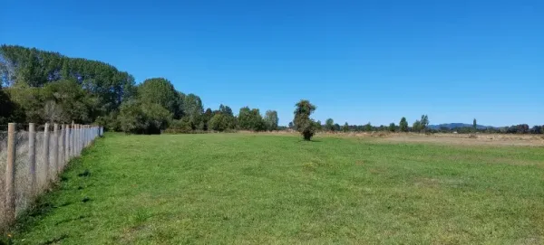 Parcela de 5.000 m² en Allipén Chico, Freire, a 5 km de la Ruta 5