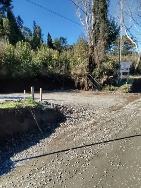 Parcela de 8.000 m² en Challupén Alto, Villarrica, con árboles nativos