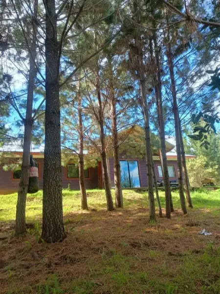 Parcela de 5.000 m² con casa en la Novena Faja, Loncoche, camino a Villarrica