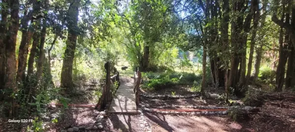 Parcela de 5.000 m² con casa y dos cabañas en la ruta a Lican Ray, Villarrica