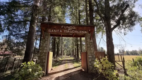 Fundo de 69 ha a 5 km de Villarrica, plano, con luz, derechos de agua y río