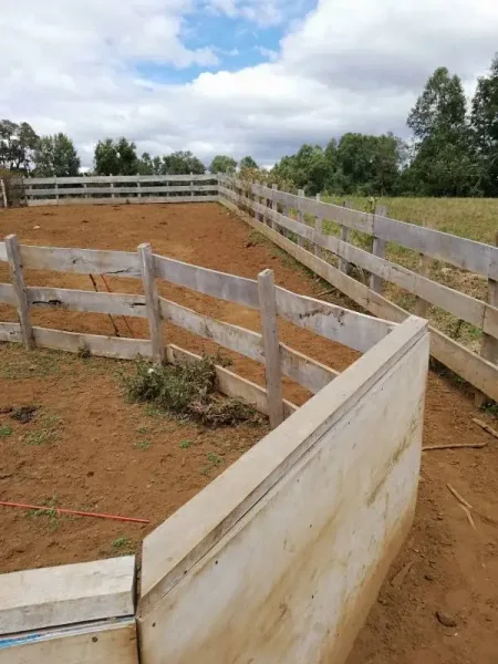 Campo de 30 ha en Loncoche, con casa principal, galpones y buenos accesos