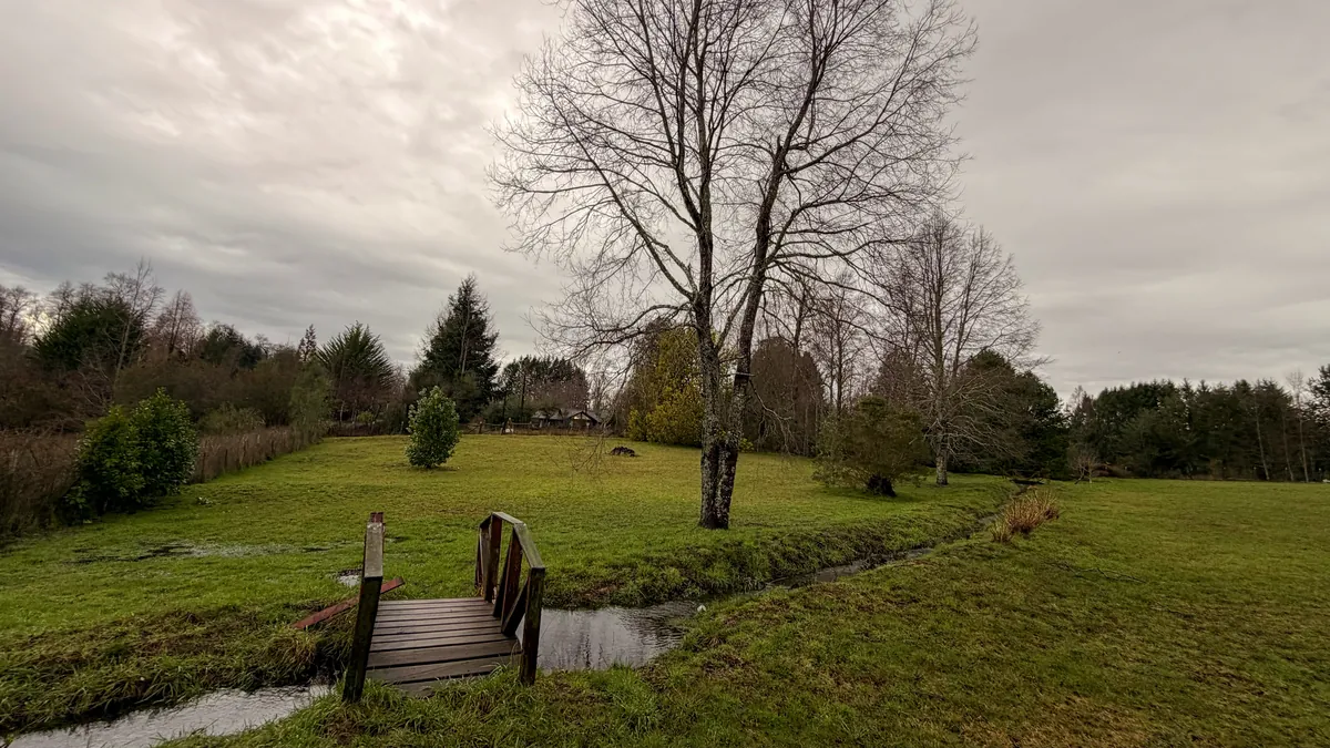 Pradera con un estero cruzado por una pasarela de madera